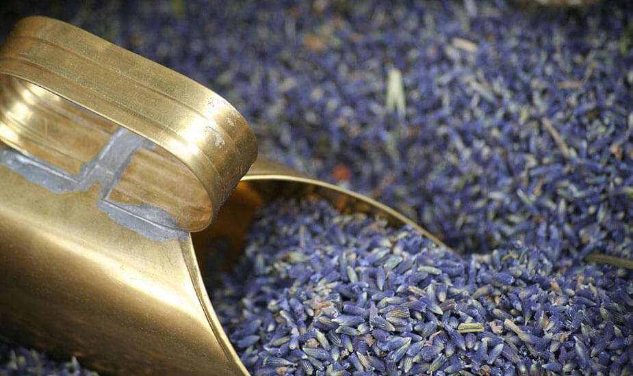 Image for: Lavanda kao začin u kuhinji