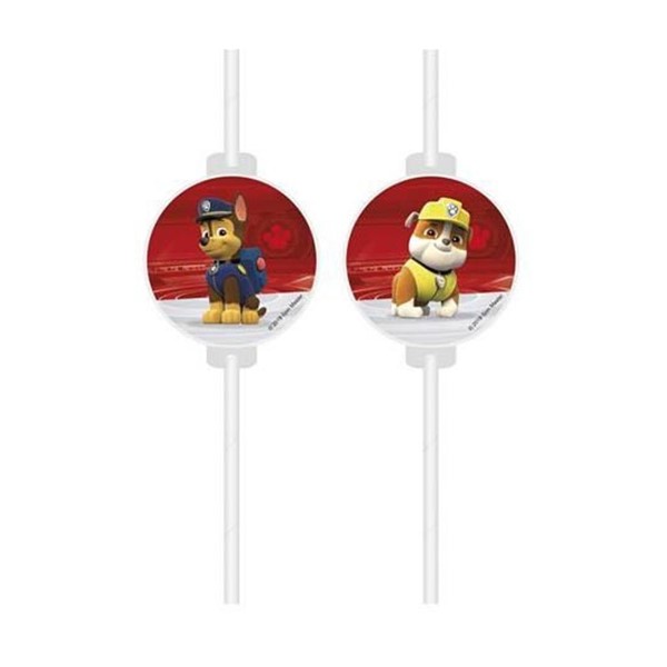 djecji rodjendan slamke paw patrol
