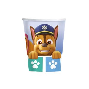 party casa paw patrol rodjendan