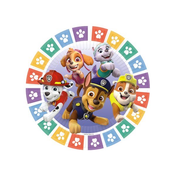 party tanjur paw patrol rodjendan