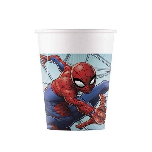rodjendanska party casa spiderman