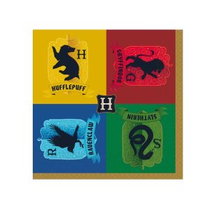 party rodjendan salvete harry potter